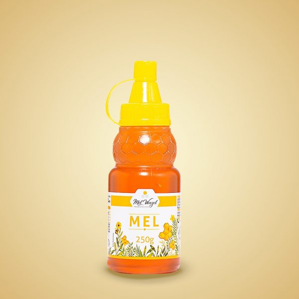 Mel - 250g - Bisnaga