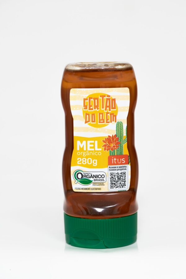 Mel Orgânico 280g - Bisnaga - Sertão do Bem